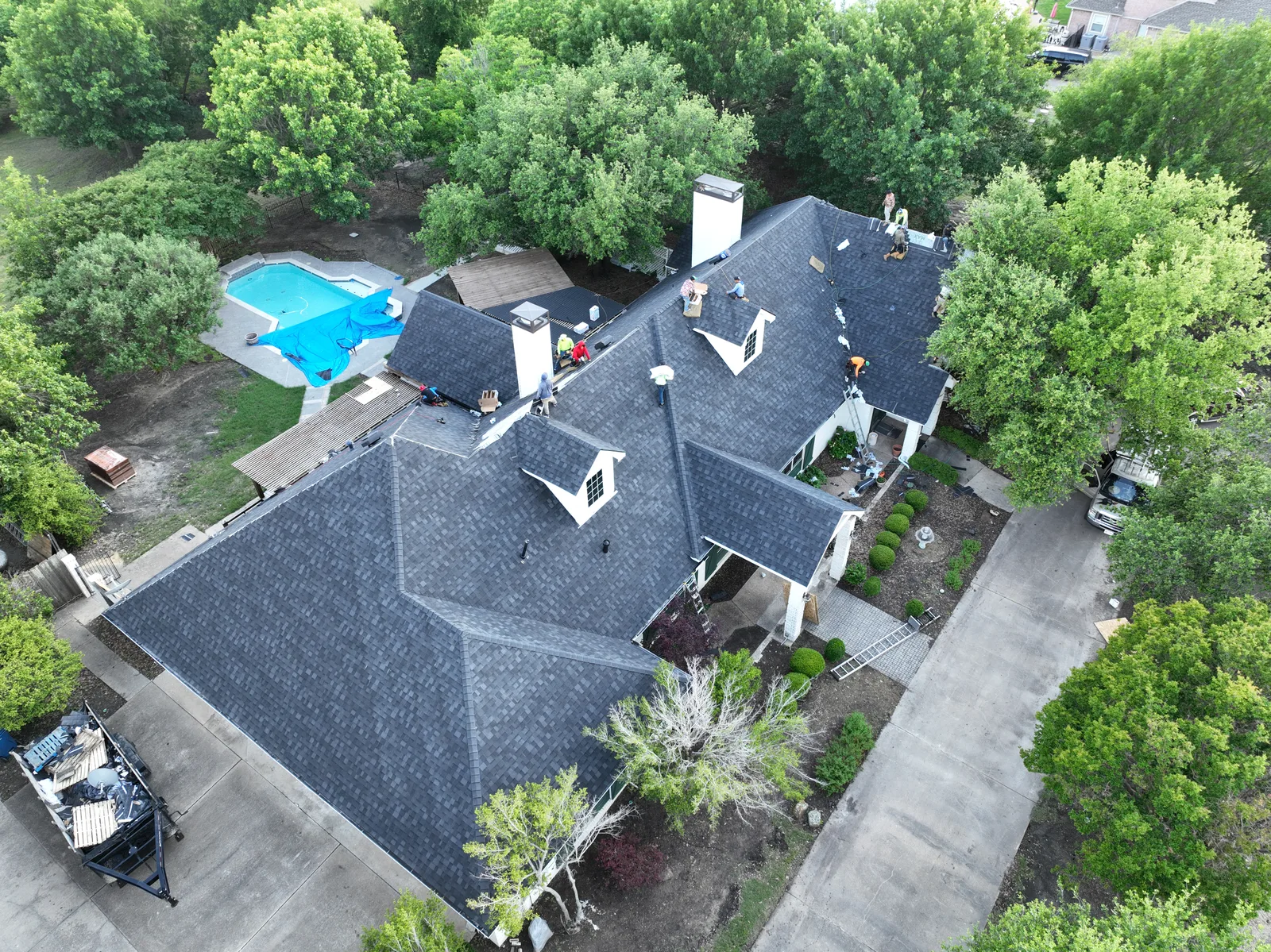 Shingle roof among mature trees